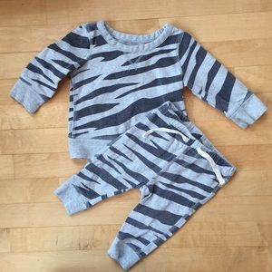 Tiger Striped Sweat Suit